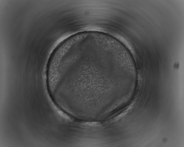 X0000101091133200807171841