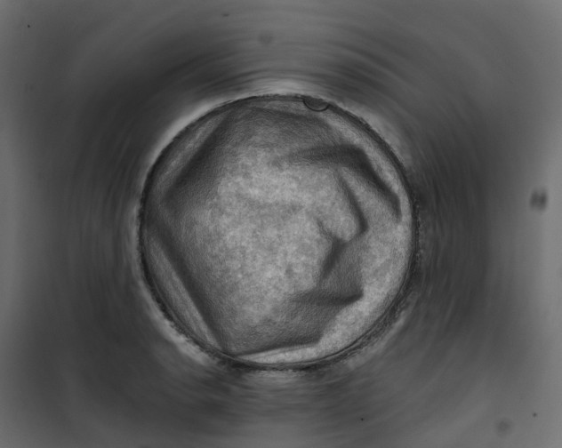 X0000101091134200807171841