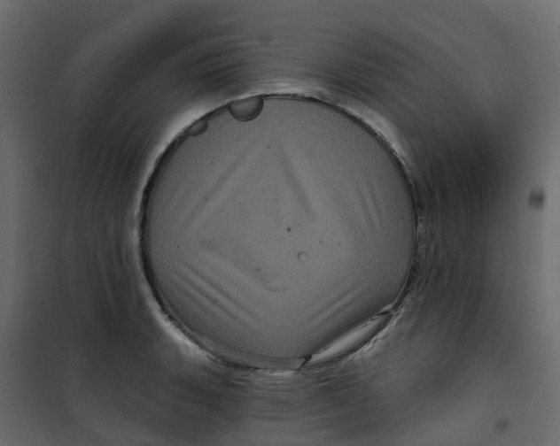 X0000101091135200807171841