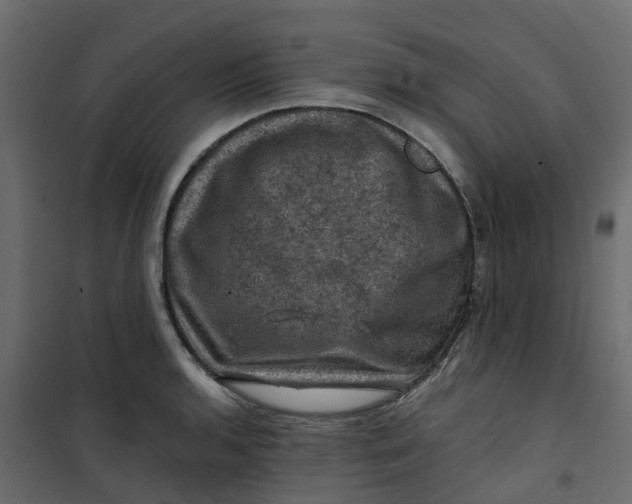 X0000101091136200807171841