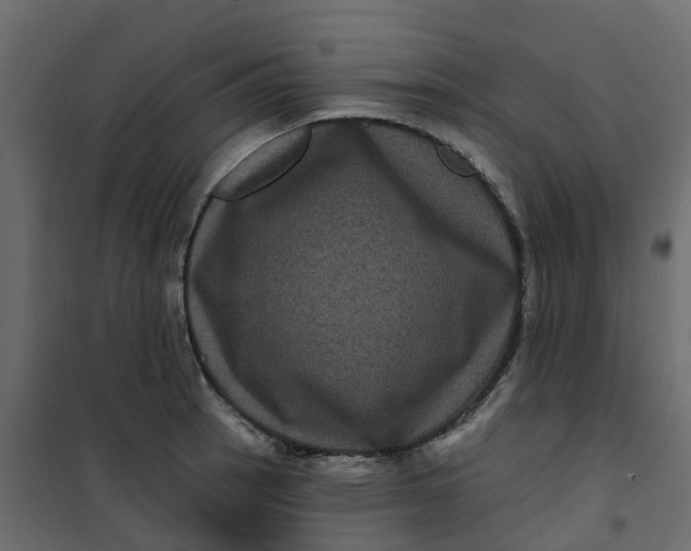 X0000101091137200807171841