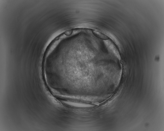 X0000101091138200807171841