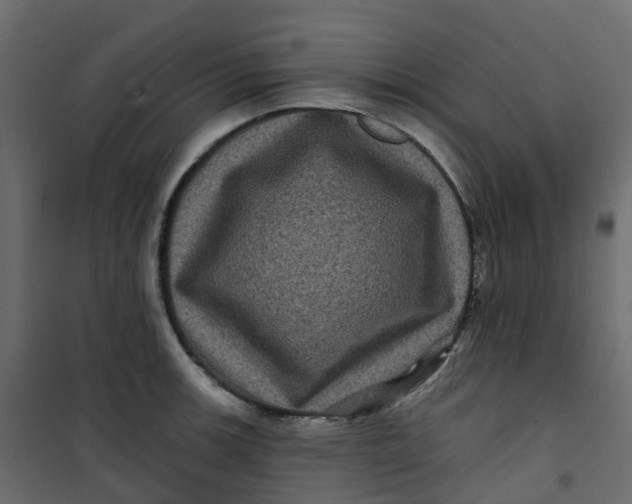 X0000101091139200807171841