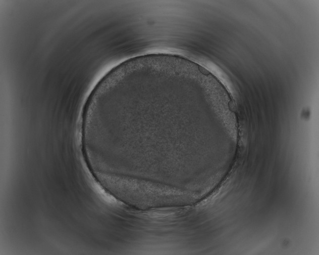 X0000101091140200807171841