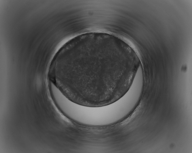 X0000101091141200807171841