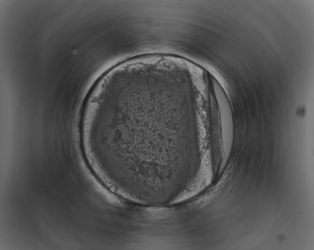 X0000101091142200807171841