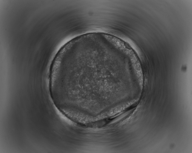 X0000101091143200807171841