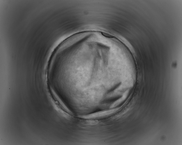 X0000101091144200807171841