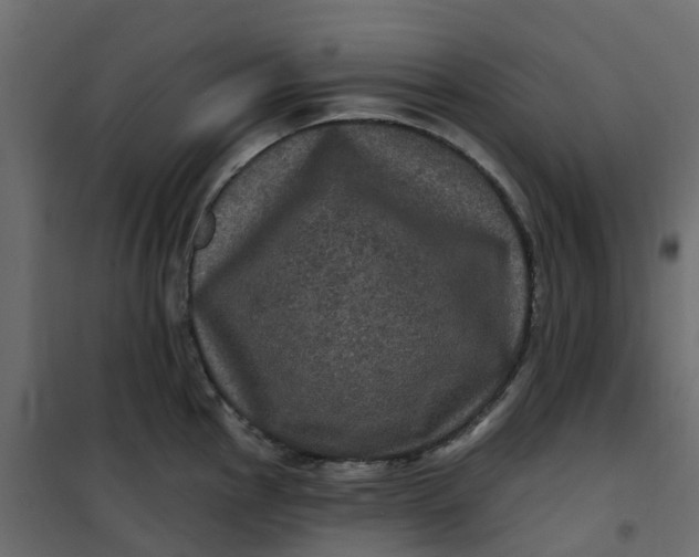 X0000101091145200807171841