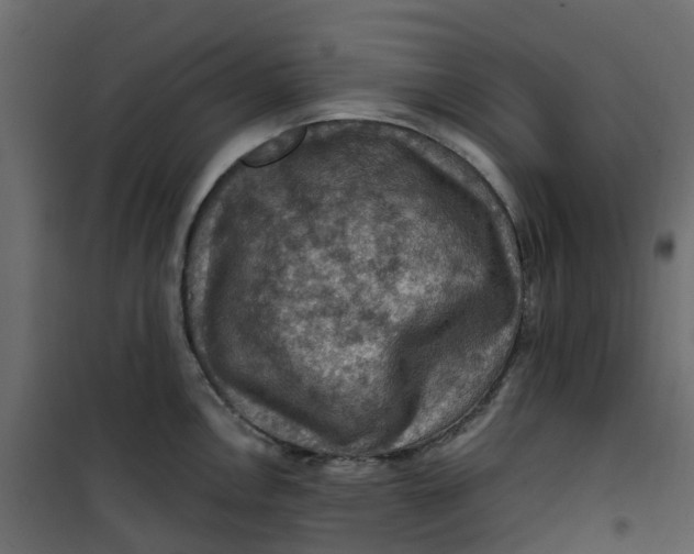 X0000101091146200807171841