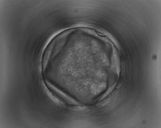 X0000101091148200807171841