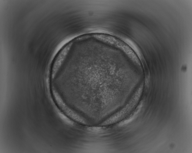 X0000101091149200807171841