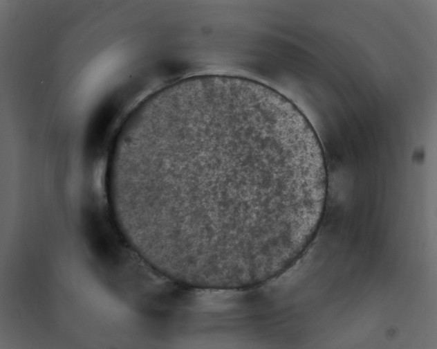 X0000101091150200807171841