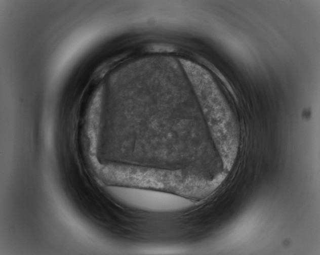 X0000101091151200807171841