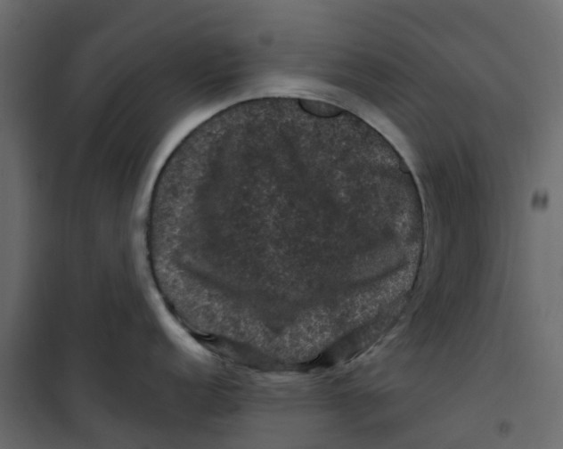 X0000101091152200807171841