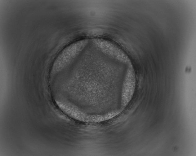 X0000101091153200807171841