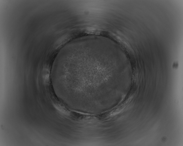 X0000101091154200807171841