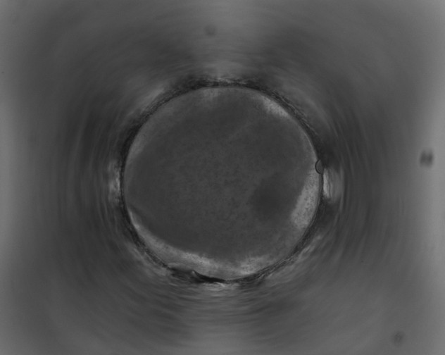 X0000101091155200807171841