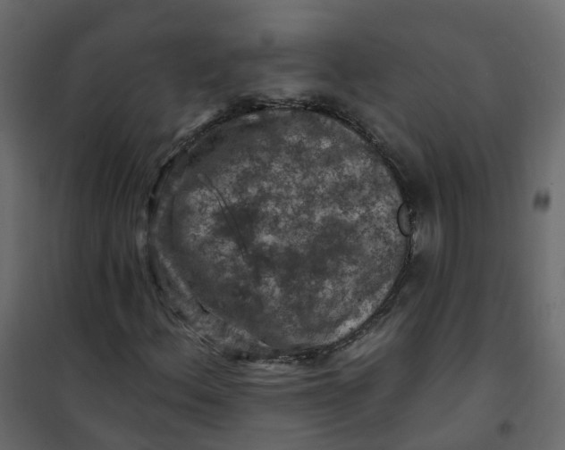 X0000101091156200807171841