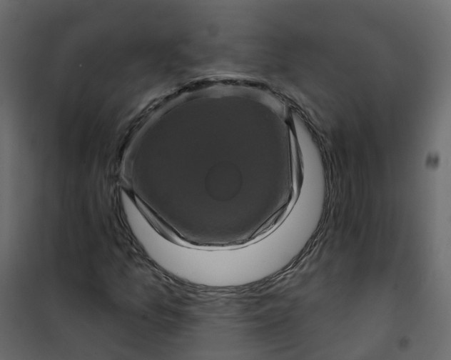 X0000101091157200807171841