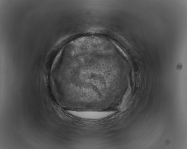 X0000101091158200807171841