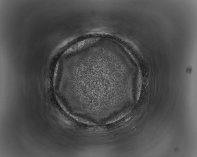 X0000101091159200807171841