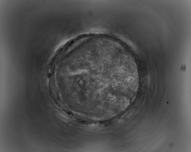 X0000101091160200807171841