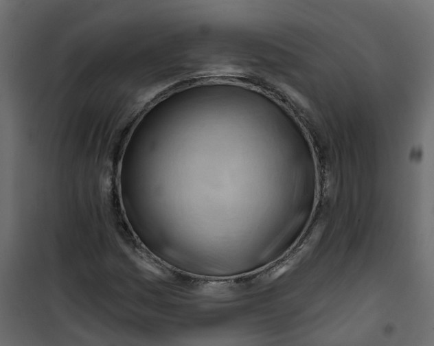 X0000101091161200807171841