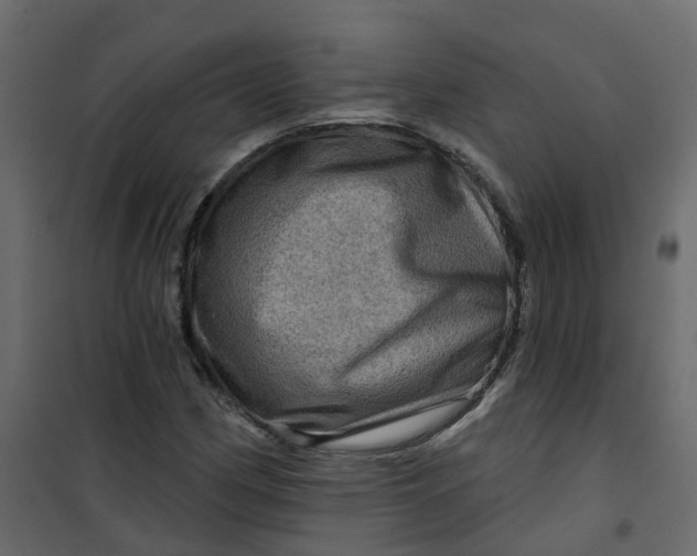 X0000101091162200807171841