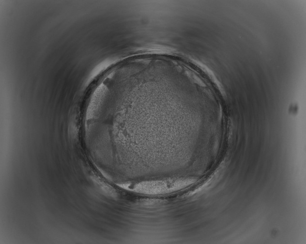 X0000101091163200807171841