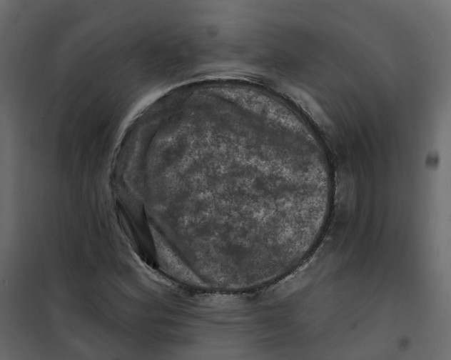 X0000101091164200807171841