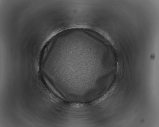 X0000101091165200807171841