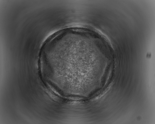 X0000101091166200807171841