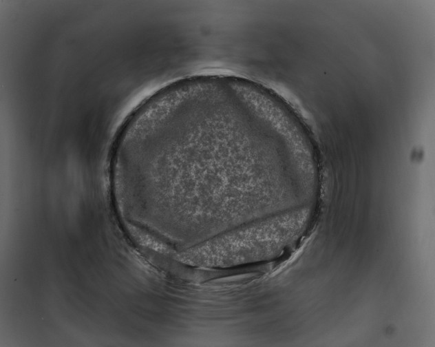 X0000101091167200807171841