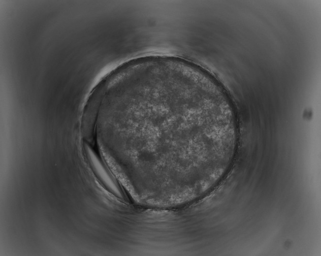 X0000101091168200807171841