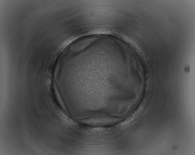 X0000101091169200807171841