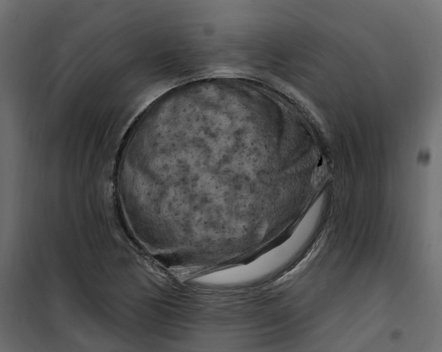 X0000101091170200807171841