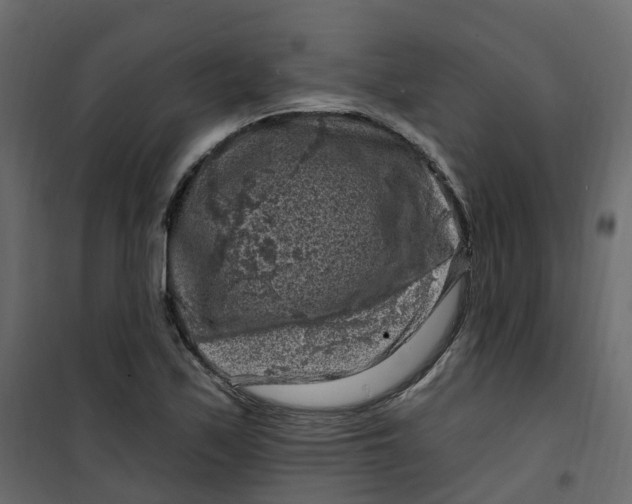 X0000101091171200807171841