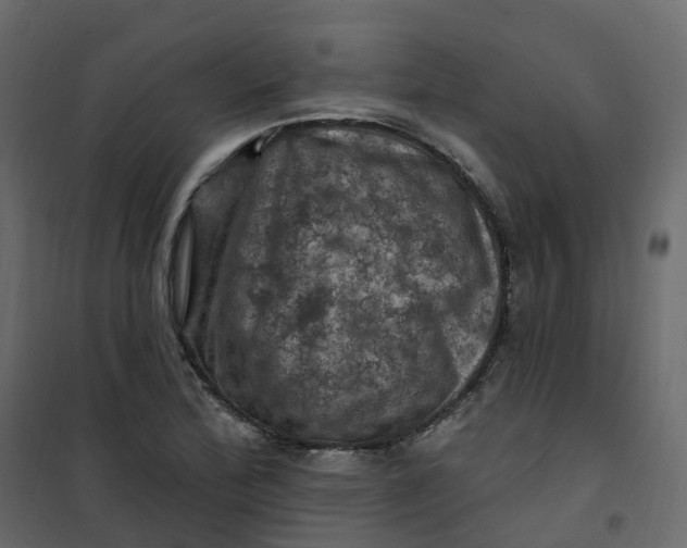 X0000101091172200807171841