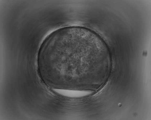 X0000101091174200807171841