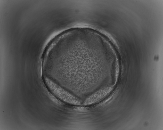 X0000101091175200807171840