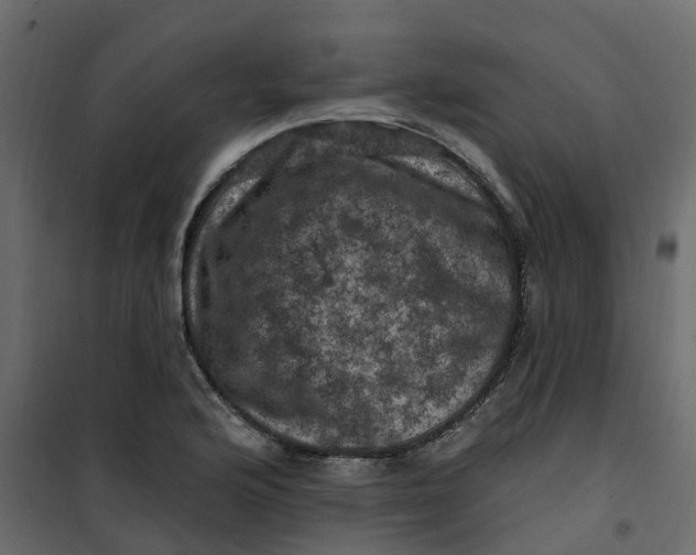 X0000101091176200807171840