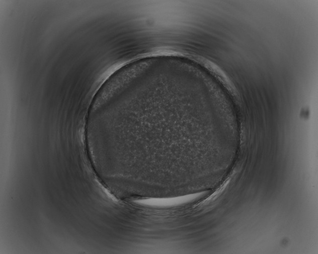 X0000101091177200807171840