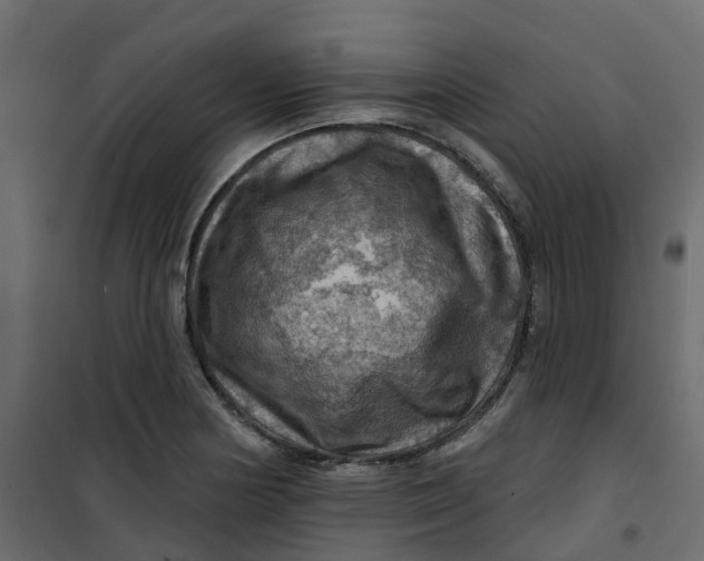 X0000101091178200807171840