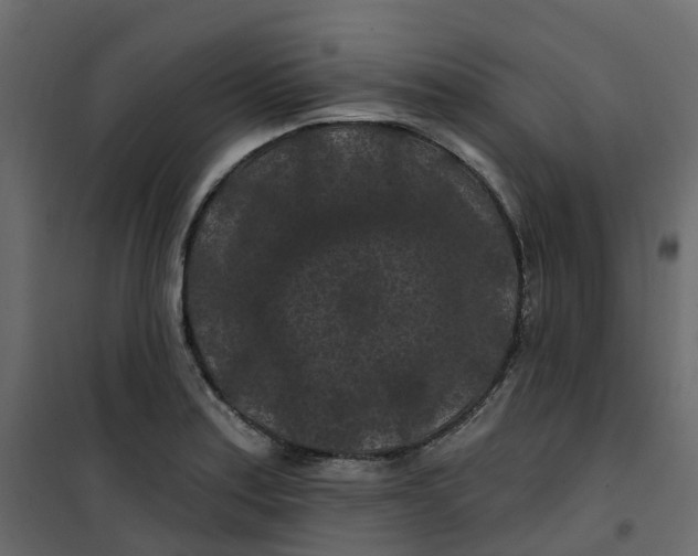 X0000101091179200807171840