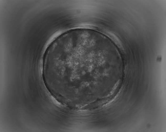 X0000101091180200807171840