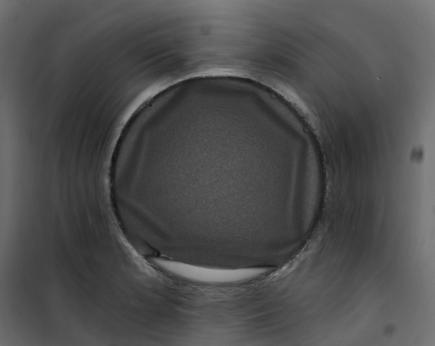 X0000101091181200807171840