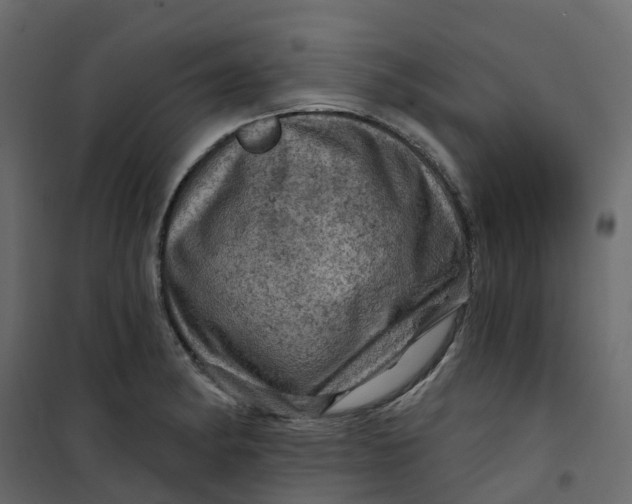 X0000101091182200807171840