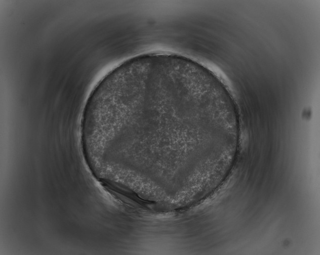 X0000101091183200807171840