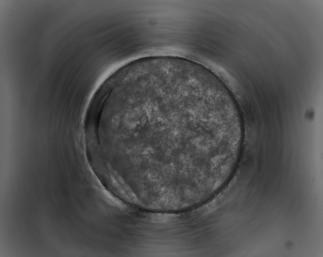 X0000101091184200807171840